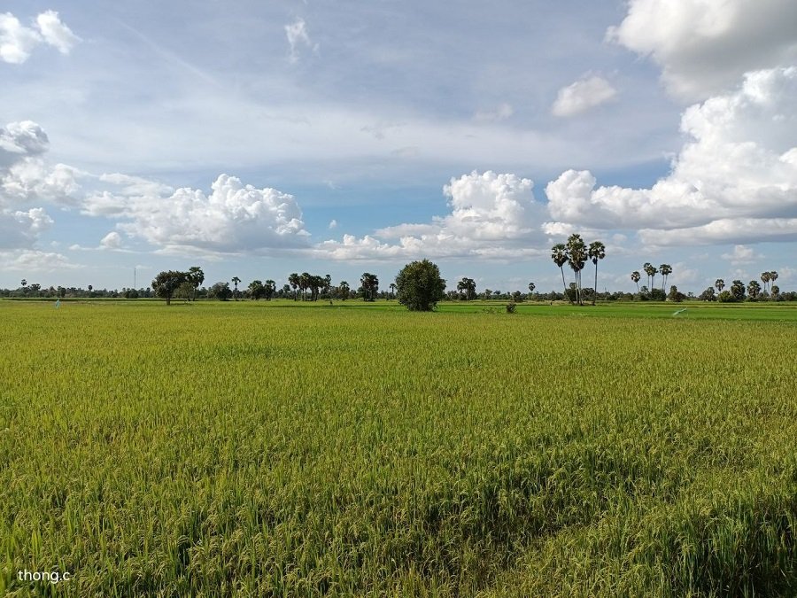 Phnom Penh Killing Fields & Ta Prohm Temple Bike Tour: History & Countryside